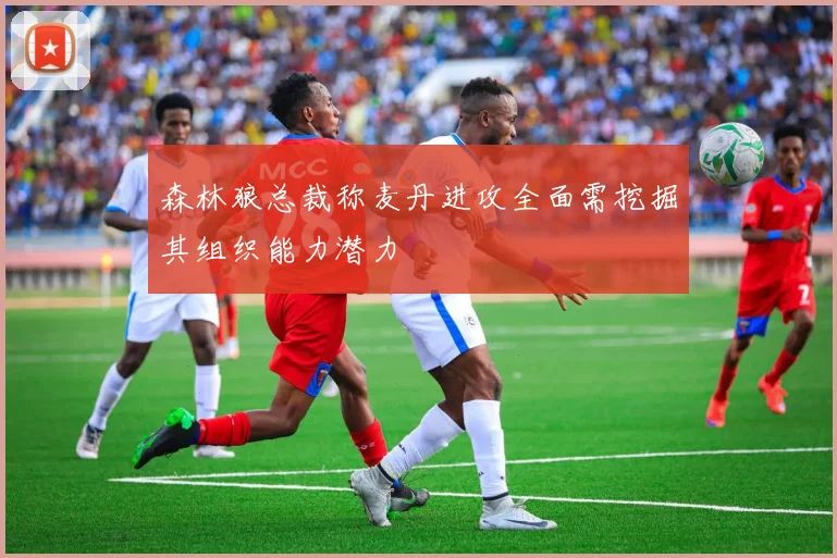 森林狼总裁称麦丹进攻全面需挖掘其组织能力潜力